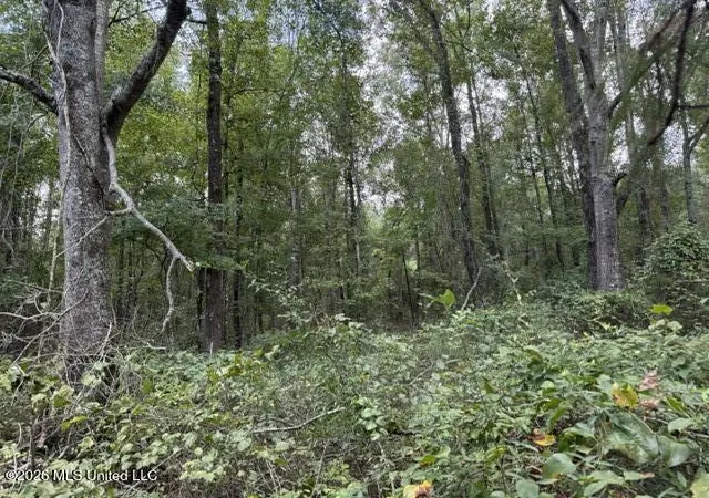Photo 3 of Land for sale at Brewer Dr, Forest, MS 39074 | MLS# 4161450 | Listing updated on 2026-09-04