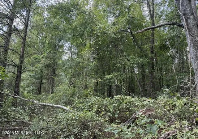 Photo 4 of Land for sale at Brewer Dr, Forest, MS 39074 | MLS# 4161450 | Listing updated on 2026-09-04