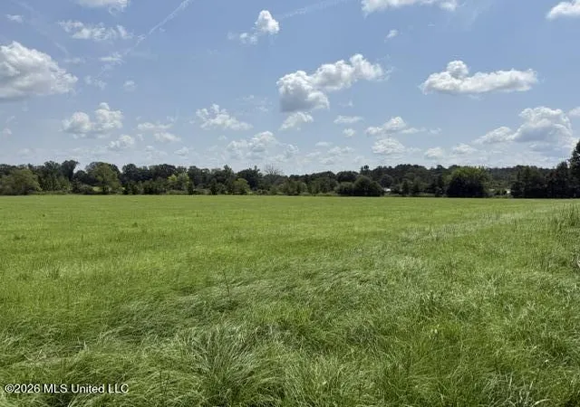 Photo 1 of Land for sale at 0 Brewer Dr, Forest, MS 39074 | MLS# 4161483 | Listing updated on 2026-09-04