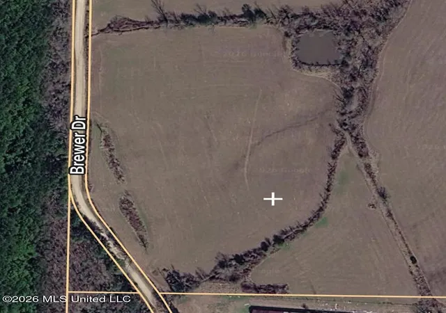 Photo 3 of Land for sale at 0 Brewer Dr, Forest, MS 39074 | MLS# 4161483 | Listing updated on 2026-09-04
