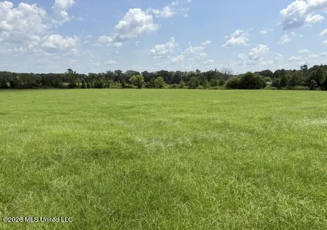 Photo 3 of Land for sale at 0 Brewer Dr, Forest, MS 39074 | MLS# 4161483 | Listing updated on 2026-09-04