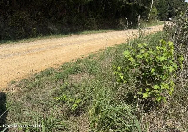 Photo 4 of Land for sale at 0 Brewer Dr, Forest, MS 39074 | MLS# 4161483 | Listing updated on 2026-09-04