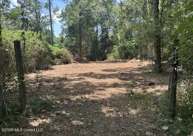 Photo 51 of Single family home for sale at 404 Liberty St, Osyka, MS 39657 | MLS# 4161487 | Listing updated on 2026-09-04
