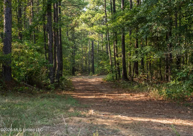 Land for sale at 884 Truitt Rd, Pickens, MS 39146 | MLS# 4161467