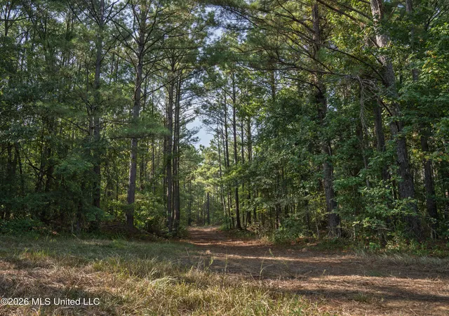 Photo 3 of Land for sale at 884 Truitt Rd, Pickens, MS 39146 | MLS# 4161467 | Listing updated on 2026-09-04