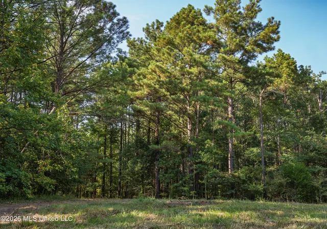 Photo 3 of Land for sale at 884 Truitt Rd, Pickens, MS 39146 | MLS# 4161467 | Listing updated on 2026-09-04