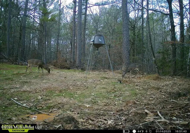 Photo 2 of Land for sale at Seymour S Road, Kilmichael, MS 39747 | MLS# 4161522 | Listing updated on 2026-09-09