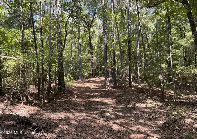 Photo 3 of Land for sale at Seymour S Road, Kilmichael, MS 39747 | MLS# 4161522 | Listing updated on 2026-09-09