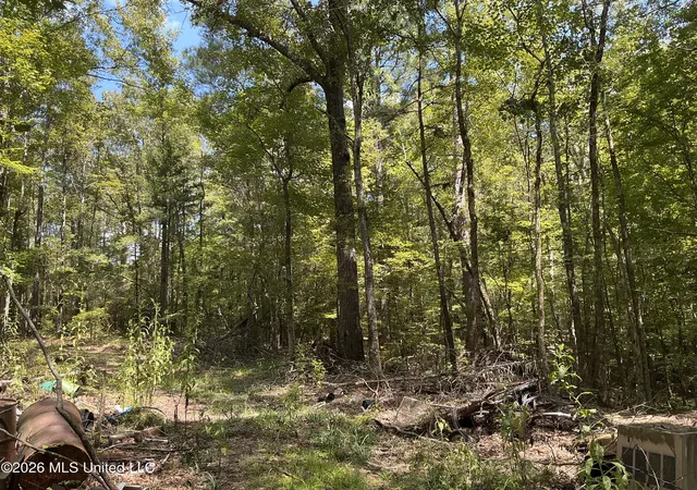 Photo 3 of Land for sale at Seymour S Road, Kilmichael, MS 39747 | MLS# 4161522 | Listing updated on 2026-09-09