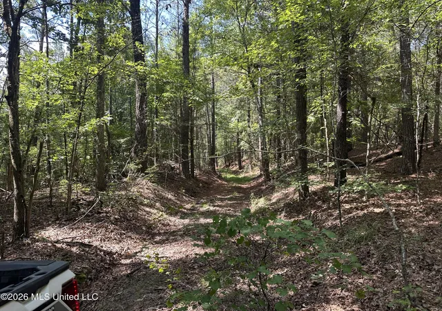 Photo 4 of Land for sale at Seymour S Road, Kilmichael, MS 39747 | MLS# 4161522 | Listing updated on 2026-09-09