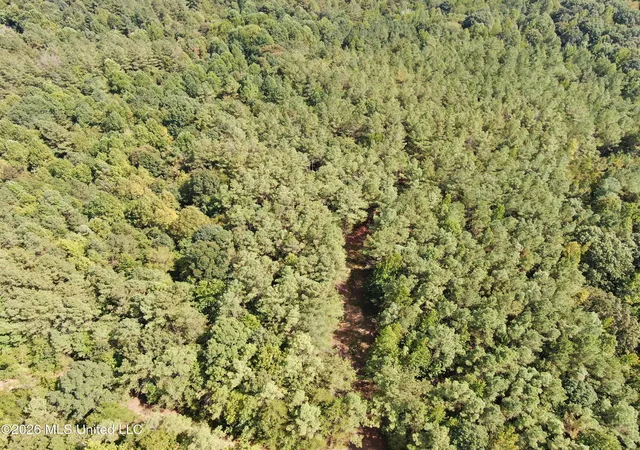 Photo 1 of Land for sale at 700 Front Rd, Bolivar, TN 38725 | MLS# 4161501 | Listing updated on 2026-09-04