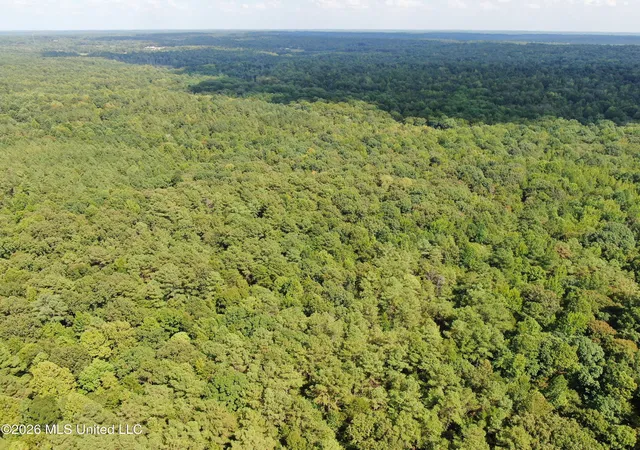 Photo 3 of Land for sale at 700 Front Rd, Bolivar, TN 38725 | MLS# 4161501 | Listing updated on 2026-09-04