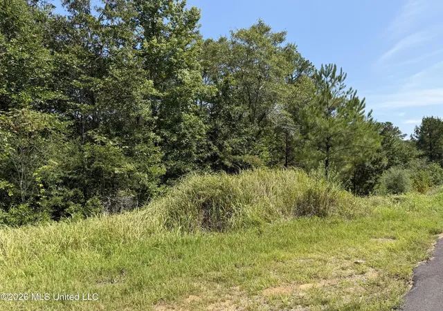 Photo 1 of Sale Pending at 37 Acres Beesley Rd, Lucedale, MS 39452 | MLS# 4161710 | Listing updated on 2026-09-10