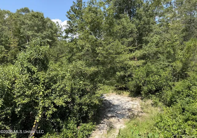 Photo 2 of Sale Pending at 37 Acres Beesley Rd, Lucedale, MS 39452 | MLS# 4161710 | Listing updated on 2026-09-10