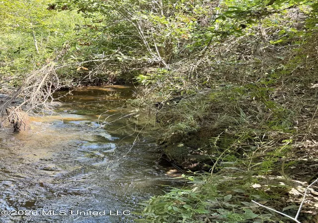 Photo 3 of Sale Pending at 37 Acres Beesley Rd, Lucedale, MS 39452 | MLS# 4161710 | Listing updated on 2026-09-10