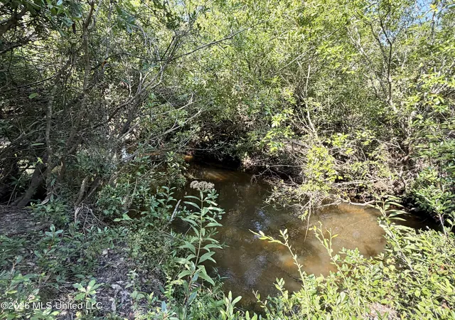 Photo 3 of Sale Pending at 37 Acres Beesley Rd, Lucedale, MS 39452 | MLS# 4161710 | Listing updated on 2026-09-10