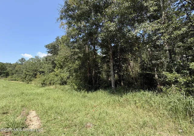 Photo 4 of Sale Pending at 37 Acres Beesley Rd, Lucedale, MS 39452 | MLS# 4161710 | Listing updated on 2026-09-10
