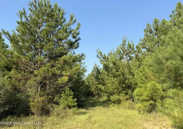 Photo 1 of Land for sale at 1563 Acres Beesley Rd, Lucedale, MS 39452 | MLS# 4161696 | Listing updated on 2026-09-08