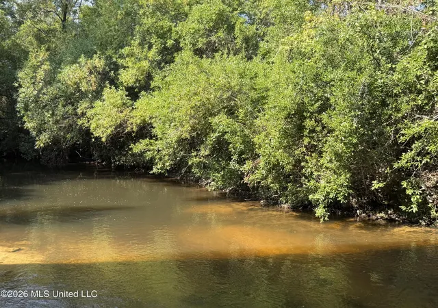 Photo 3 of Land for sale at 1563 Acres Beesley Rd, Lucedale, MS 39452 | MLS# 4161696 | Listing updated on 2026-09-08
