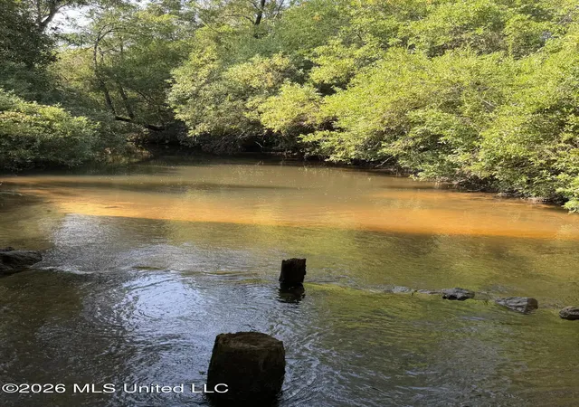 Photo 3 of Land for sale at 1563 Acres Beesley Rd, Lucedale, MS 39452 | MLS# 4161696 | Listing updated on 2026-09-08