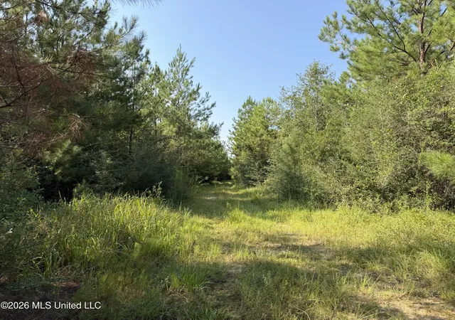 Photo 4 of Land for sale at 1563 Acres Beesley Rd, Lucedale, MS 39452 | MLS# 4161696 | Listing updated on 2026-09-08
