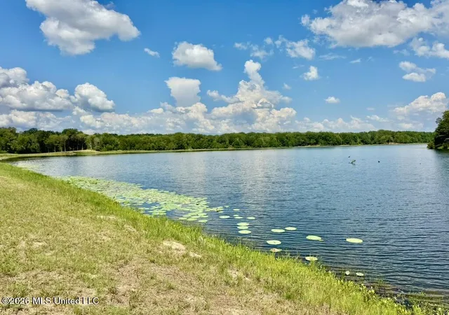 Photo 1 of Land for sale at 00114 Pocahontas Rd, Flora, MS 39071 | MLS# 4161554 | Listing updated on 2026-09-04