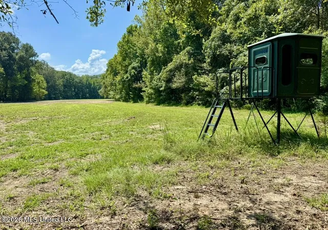 Photo 4 of Land for sale at 00114 Pocahontas Rd, Flora, MS 39071 | MLS# 4161554 | Listing updated on 2026-09-04