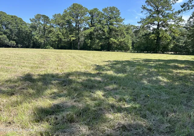 Photo 1 of Land for sale at Marcus Mitchell Rd, Picayune, MS 39466 | MLS# 4161572 | Listing updated on 2026-09-05