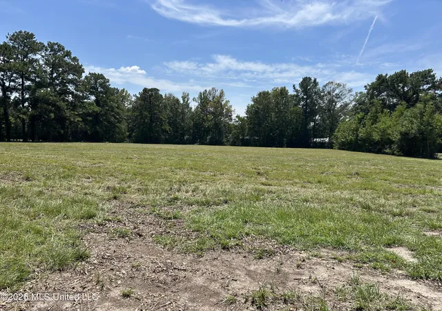 Photo 2 of Land for sale at Marcus Mitchell Rd, Picayune, MS 39466 | MLS# 4161572 | Listing updated on 2026-09-05