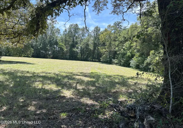 Photo 3 of Land for sale at Marcus Mitchell Rd, Picayune, MS 39466 | MLS# 4161572 | Listing updated on 2026-09-05