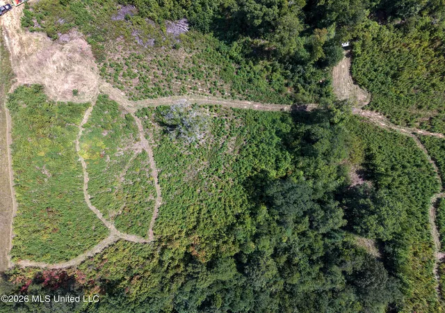 Photo 3 of Land for sale at Slick Parker Rd, Noxapater, MS 39346 | MLS# 4161581 | Listing updated on 2026-09-23