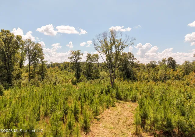 Photo 3 of Land for sale at Slick Parker Rd, Noxapater, MS 39346 | MLS# 4161581 | Listing updated on 2026-09-23