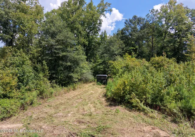 Photo 4 of Land for sale at Slick Parker Rd, Noxapater, MS 39346 | MLS# 4161581 | Listing updated on 2026-09-23