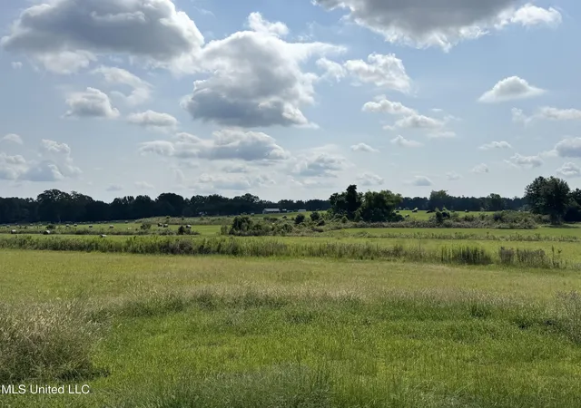 Photo 2 of Land for sale at R1 Old Hwy 16, Benton, MS 39039 | MLS# 4161606 | Listing updated on 2026-09-05