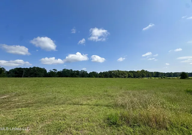 Photo 3 of Land for sale at R1 Old Hwy 16, Benton, MS 39039 | MLS# 4161606 | Listing updated on 2026-09-05