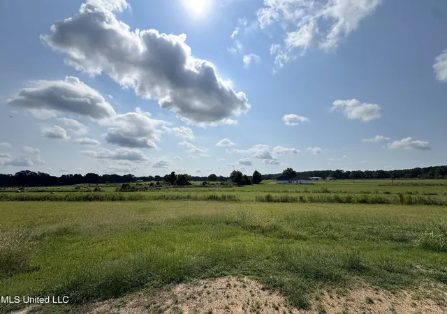 Photo 4 of Land for sale at R1 Old Hwy 16, Benton, MS 39039 | MLS# 4161606 | Listing updated on 2026-09-05