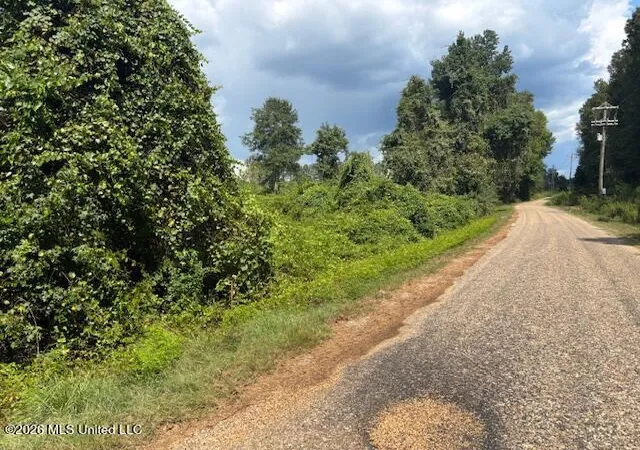Photo 2 of Land for sale at Ms 583, Tylertown, MS 39667 | MLS# 4161626 | Listing updated on 2026-09-05
