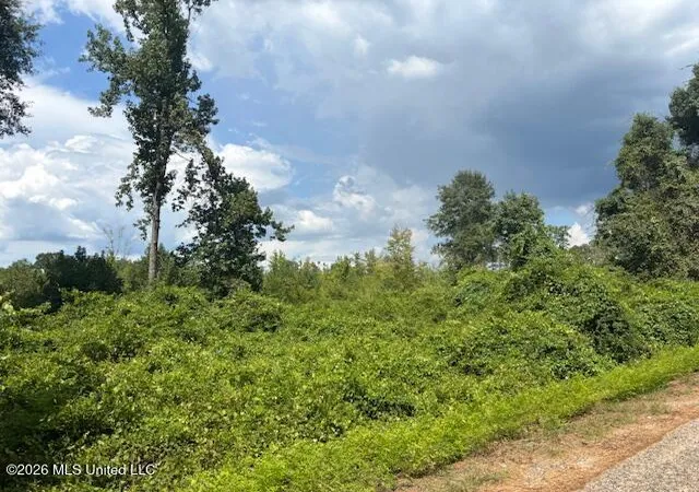 Photo 2 of Land for sale at Ms 583, Tylertown, MS 39667 | MLS# 4161626 | Listing updated on 2026-09-05