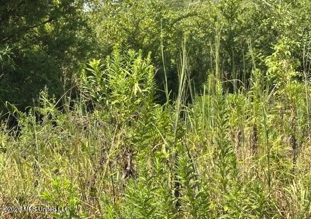 Photo 3 of Land for sale at Ms 583, Tylertown, MS 39667 | MLS# 4161626 | Listing updated on 2026-09-05
