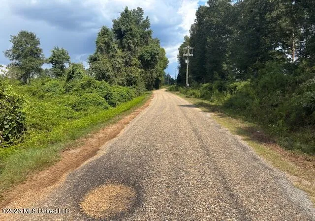 Photo 4 of Land for sale at Ms 583, Tylertown, MS 39667 | MLS# 4161626 | Listing updated on 2026-09-05