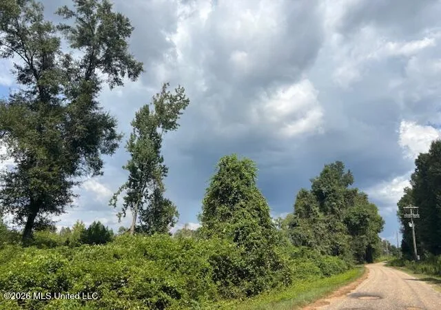 Photo 9 of Land for sale at Ms 583, Tylertown, MS 39667 | MLS# 4161626 | Listing updated on 2026-09-05