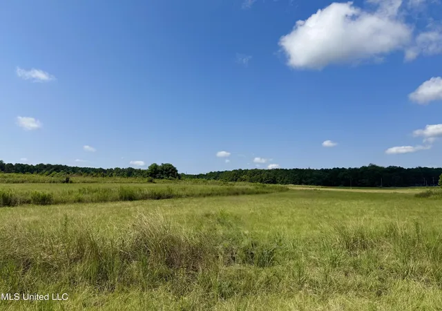 Photo 11 of Land for sale at R20 Old Hwy 16, Benton, MS 39039 | MLS# 4161632 | Listing updated on 2026-09-05
