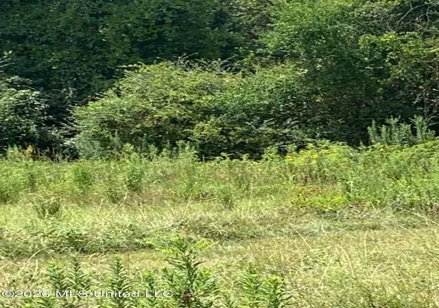 Photo 3 of Land for sale at S Quinn, Terry, MS 39170 | MLS# 4161638 | Listing updated on 2026-09-06