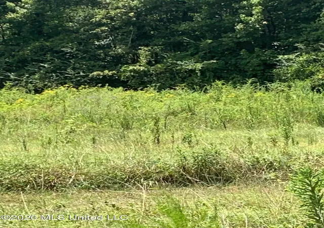 Photo 4 of Land for sale at S Quinn, Terry, MS 39170 | MLS# 4161638 | Listing updated on 2026-09-06