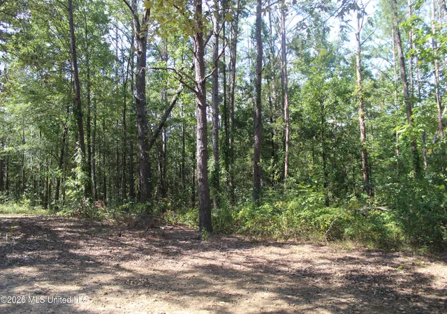 Photo 3 of Single family home for sale at 48 County Rd 6071, Baldwyn, MS 38824 | MLS# 4161642 | Listing updated on 2026-09-06