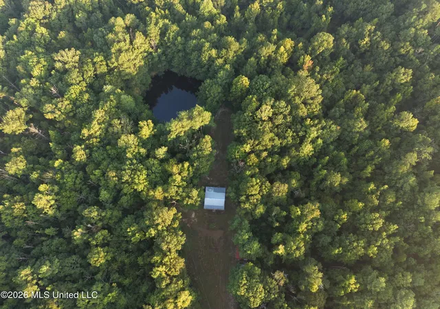 Photo 67 of Single family home for sale at 5582 White Apple Rd, Roxie, MS 39661 | MLS# 4161676 | Listing updated on 2026-09-06