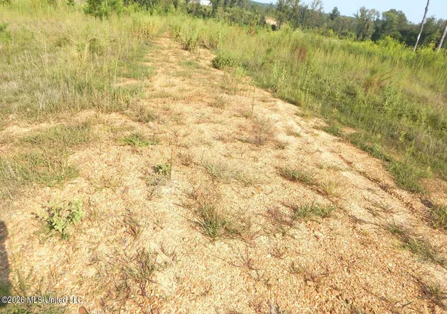 Photo 4 of Land for sale at 780 Storm Cvs, Grenada, MS 38901 | MLS# 4161668 | Listing updated on 2026-09-06