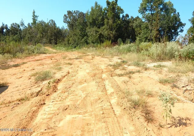 Photo 1 of Land for sale at 275 County Rd 239, Tillatoba, MS 38961 | MLS# 4161669 | Listing updated on 2026-09-06