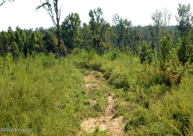 Photo 4 of Land for sale at 275 County Rd 239, Tillatoba, MS 38961 | MLS# 4161669 | Listing updated on 2026-09-06