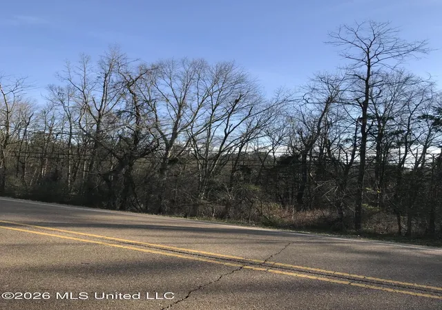 Photo 3 of Land for sale at Old Vicksburg Rd, Clinton, MS 39056 | MLS# 4161675 | Listing updated on 2026-09-06